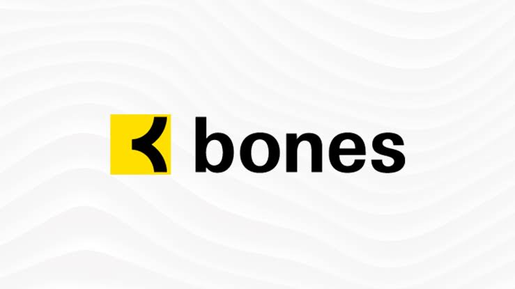 Bones animation studio